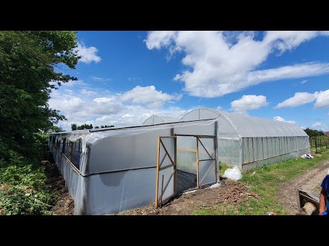 Видео: Бюджетная деревянная теплица 36х5,5м