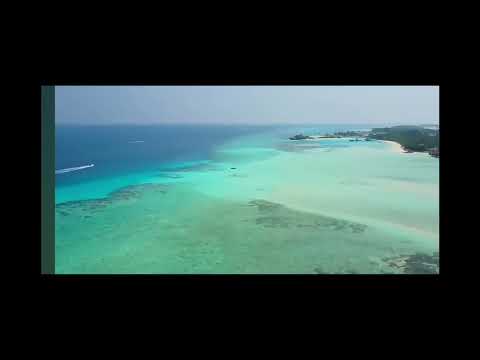 Видео: Плачь,моя душа