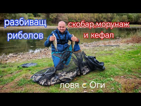 Видео: РИБОЛОВ на РЕКА СТРУМА! КОГА КЪЛВЕ ПОВЕЧЕ РИБАТА! СКОБАРИ, МОРУНАЖИ и КЕФАЛИ  на РЕКА СТРУМА! 