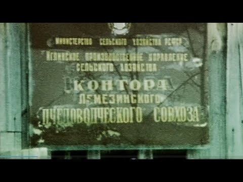 Видео: Сюжеты. Нижние Лемезы. Контора Лемезинского пчеловодческого совхоза. 1989-1990 годы. Архив Бст.