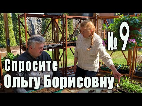 Видео: Когда можно выносить рассаду на улицу? Спросите у Ольги Борисовны.