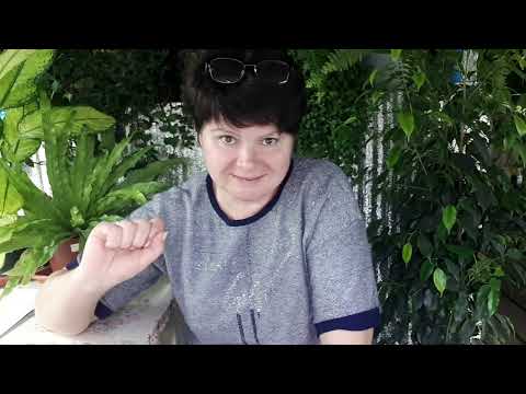 Видео: Моя ИСПОВЕДЬ блогера и почему я стала медиатренером.