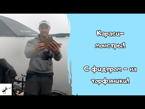 Видео: ОНИ всё-таки приплыли! Ловим КРУПНОГО карася и линя фидером на торфяниках!