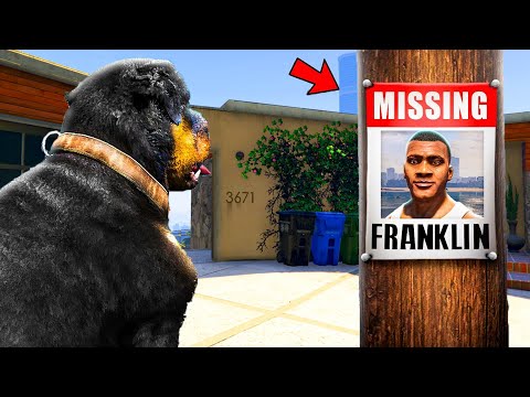 Видео: ФРАНКЛИН ЖОҒАЛЫП КЕТТІ (GTA V)