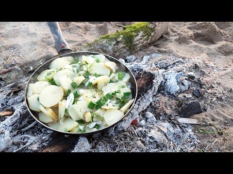 Видео: Поход и рыбалка на острове. Спиннинги, резинки, донки. Жареная картошка по-деревенски на костре.