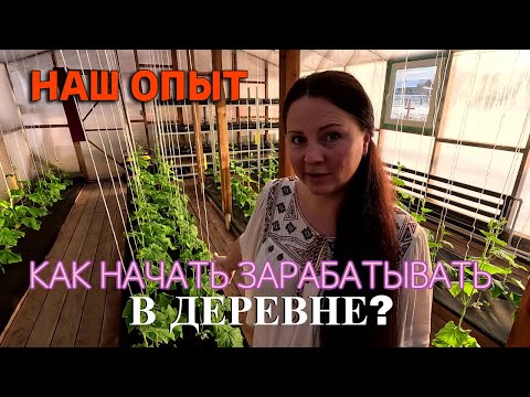 Видео: Проект нашей зимней теплицы, как источник заработка в деревне. Наш опыт 3х лет