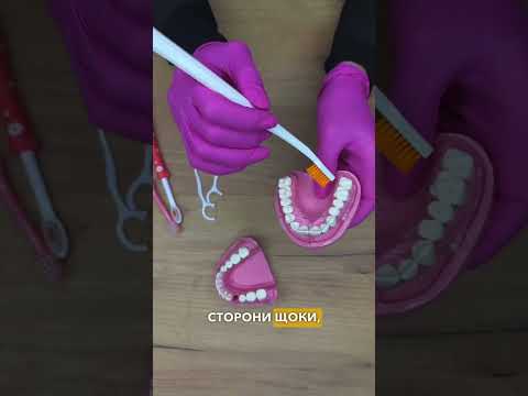 Видео: Техніка чищення зубів
