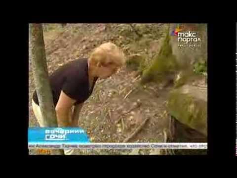 Видео: В Сочи исследовали старые дольмены