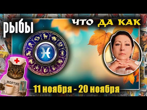 Видео: Рыбы | Прогноз с 11 по 20 ноября