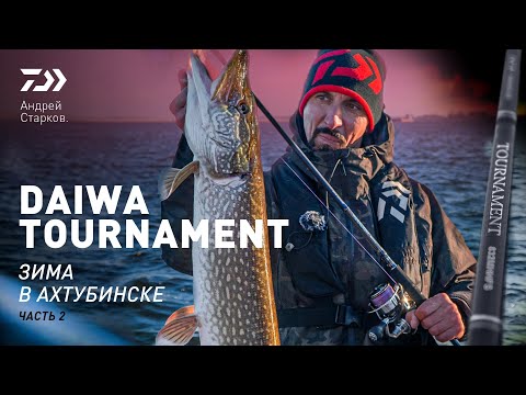 Видео: ЗИМА В АХТУБИНСКЕ #2 x DAIWA TOURNAMENT x АНДРЕЙ СТАРКОВ