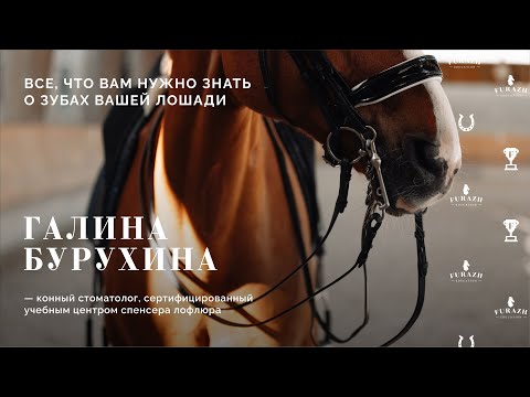 Видео: Галина Бурухина:: О роли баланса трех поверхностей во рту лошади