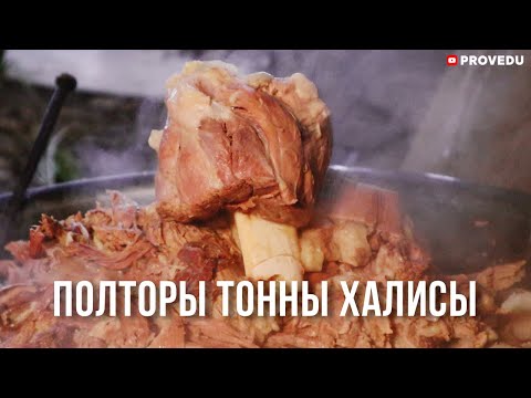 Видео: Узбекистан: Сварили 1,5 тонны и раздали всем. Халиса Проведу