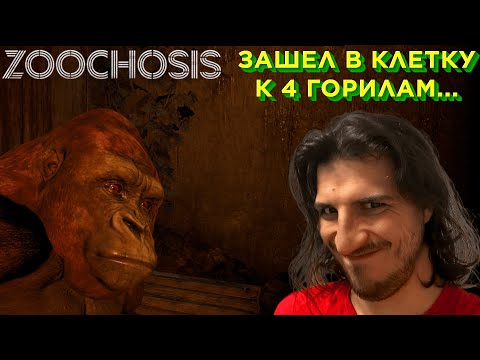 Видео: Zoochosis: Пошел работать в зоопарк!