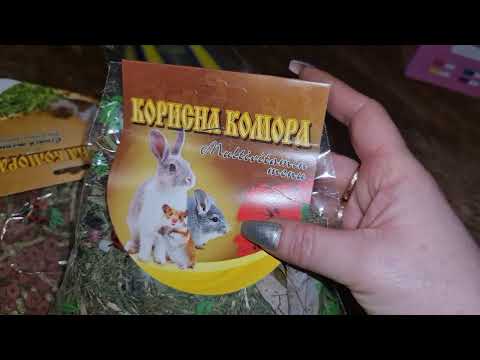 Видео: НОВИНКИ! Товары для Шиншилл, которые мы получили!)) Знакомимся))