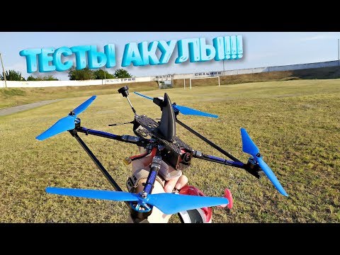 Видео: тесты акулы