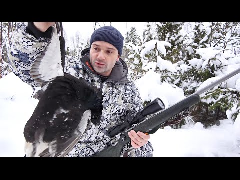 Видео: ОХОТА В ЗАСНЕЖЕННОМ ЛЕСУ НА ТЕТЕРЕВА И РЯБЧИКА. ДОБЫЧА ПТИЦЫ С МЕЛКАШКИ.