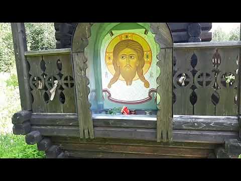 Видео: Прогулка в деревню Гонтова Липка Кировского района Ленинградской области