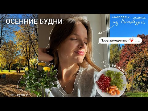 Видео: Медленный осенний влог молодой мамы из Петербурга | прогулка в парке, домашняя рутина с детьми