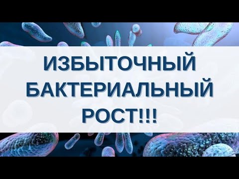 Видео: Избыточный бактериальный рост в кишечнике. СИБР. SIBO. Как избавиться и восстановить микрофлору?