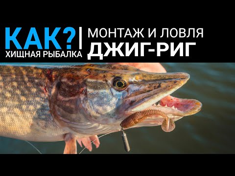 Видео: Как? Преимущества и недостатки монтажа джиг-риг. Оснастка и ловля на jig rig.