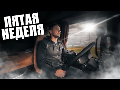 Видео: Дальнобой. ИТОГИ первого месяца на КАДЕНЦИИ! Каденция или все таки Круги ?…