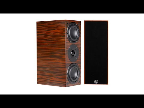 Видео: ОБЗОР акустической системы System Audio SA aura 10