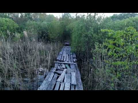 Видео: Обстановка на Палецком Озере на 15 мая 2024 год / ПВД спустя год