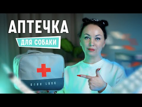 Видео: Аптечка для собак - Обязательный минимум, первая помощь