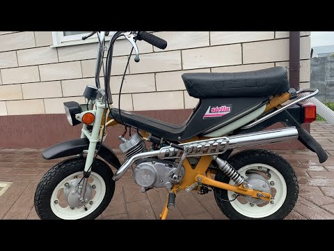 Видео: Очередная редкая находка РМЗ-2.136 «СТЕЛЛА»