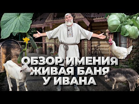 Видео: КАК мы живём в деревне. Новые БАНИ, тёплые ГРЯДКИ, мои ОШИБКИ в вегетарии, как я ПОДВЯЗЫВАЮ огурцы.