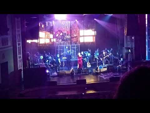 Видео: Северный флот. Тодд 15 октября 2025. Новокузнецк. Признание Ловетт