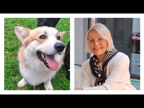 Видео: Сентябрь..Лето..Корги..Джаз..Бензин..