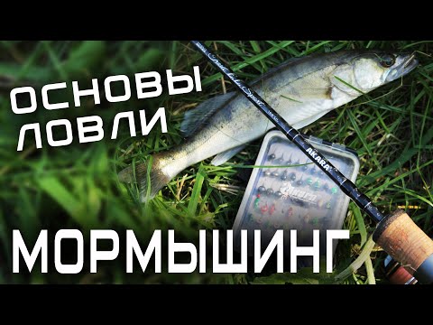 Видео: МОРМЫШИНГ для начинающих летом, КАК ЛОВИТЬ? оснастка, проводки, монтаж