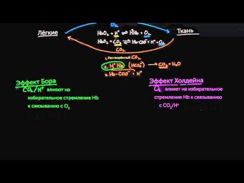 Видео: Эффект Бора и эффект Холдейна
