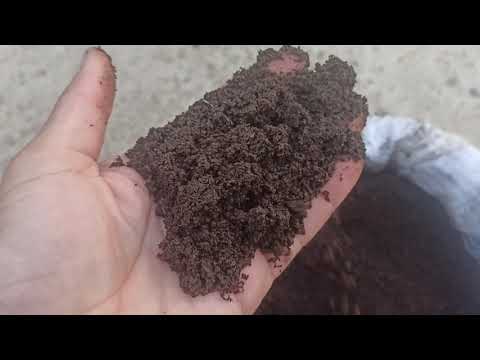 Видео: Биогумус барои ниҳолшинонӣ.Ватсап:919843232.