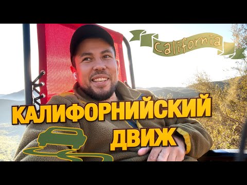 Видео: Калифорнийский Движ | Голодные Волки 🐺