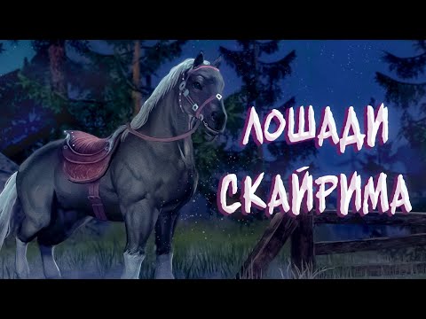 Видео: Обзор на лошадей из Skyrim