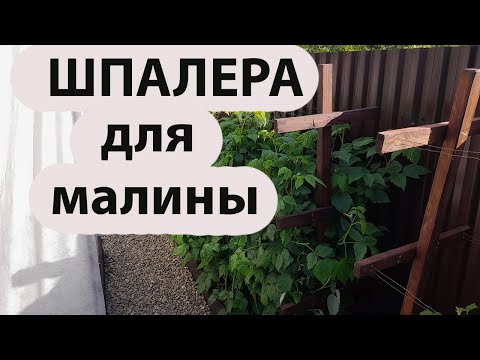 Видео: Делаем шпалеру для малины/Making a trellis for raspberries