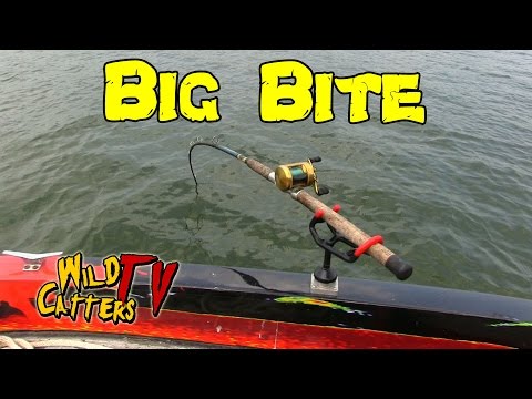 Видео: Река Огайо: ловля синего сома в районе мидийных зарослей