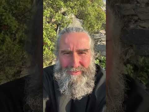 Видео: Об утешении в скорбях и смерти близких. Запись прямого эфира от 01.05.2022. Монах Андроник. Афон