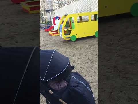 Видео: Прогулка с реборном Богданом