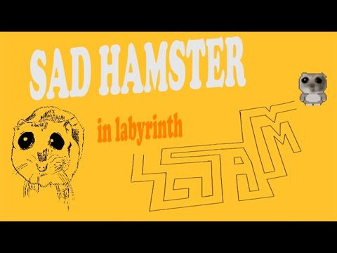 Видео: ПСИХОЛОГИЧЕСКИЙ ТРИЛЛЕР ПРО ХОМЯКА ► Sad Hamster in labyrinth ► ПРОХОЖДЕНИЕ