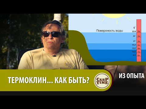 Видео: ТЕРМОКЛИН...  КАК БЫТЬ?. Карпфишинг по существу с Александром Носовцом ИЗ ОПЫТА