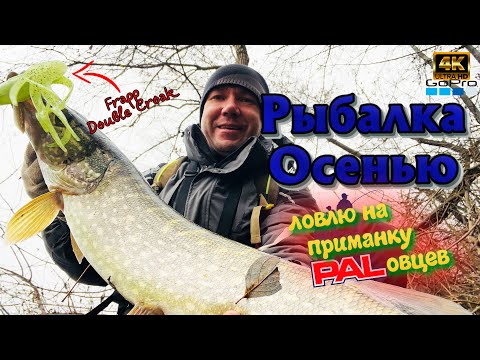 Видео: Удивительная приманка ❗Классные поклёвки ❗Осень радует ❗