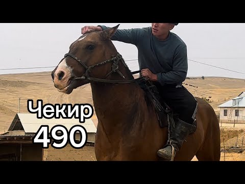 Видео: Акыл балбандын Аты Чекир490 +996-559-656-261  11 ноября 2025 г.