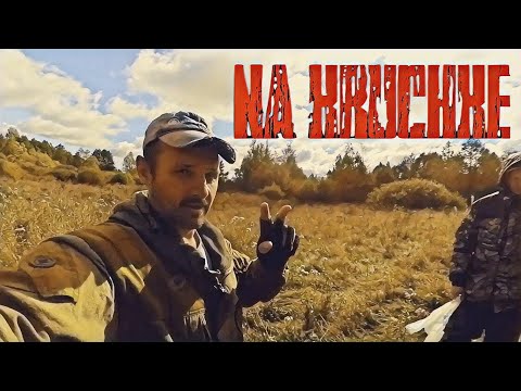 Видео: Сплит шот на окуня! Малая река в Тверской области!