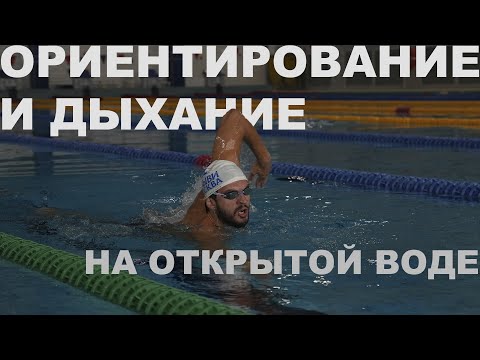 Видео: ПЛАВАНИЕ НА ОТКРЫТОЙ ВОДЕ | ОСНОВЫ