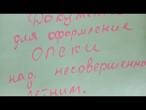 Видео: Документы для оформления ОПЕКИ над несовершеннолетним