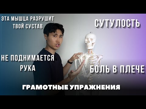 Видео: Сутулость / Боль в плече / Упражнения