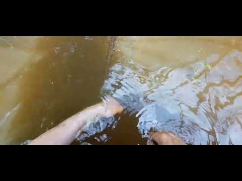 Видео: На мотоцикле на любимую реку. Спиннинг, жерлицы, обед на костре!